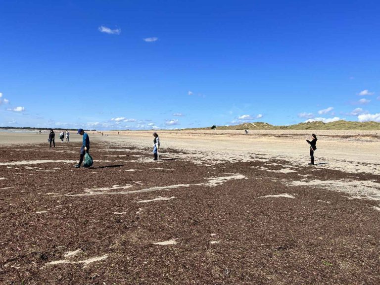 BEETc - Beach Cleaning 0923 - 3