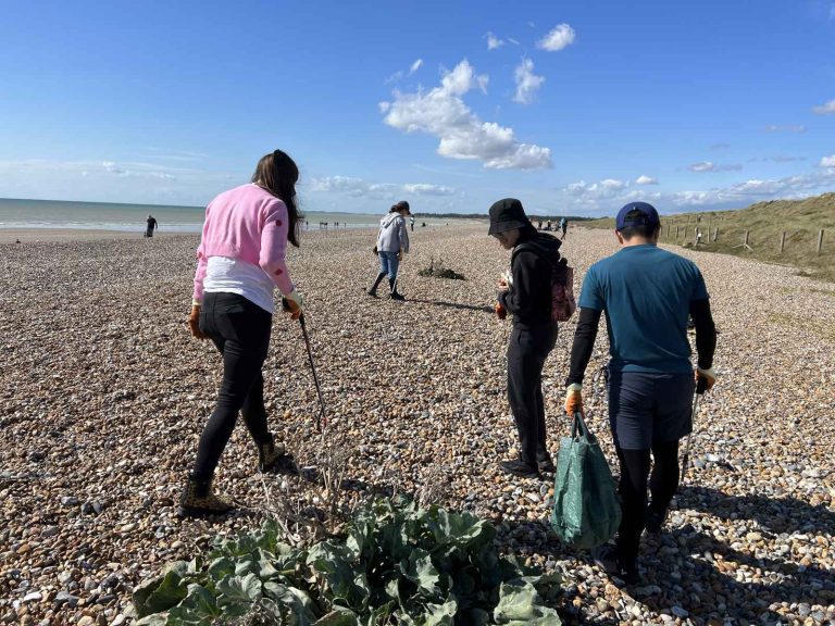 BEETc - Beach Cleaning 0923 - 5