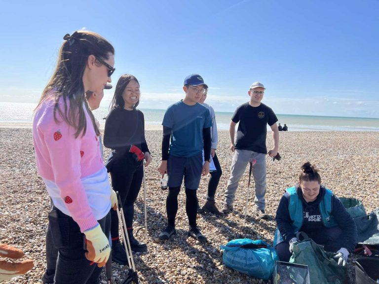 BEETc - Beach Cleaning 0923 - 6