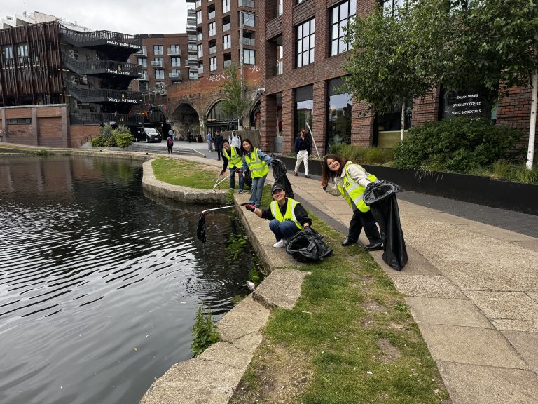 BEETc x Castlehaven 5